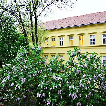 Navratilova 4you Apartment